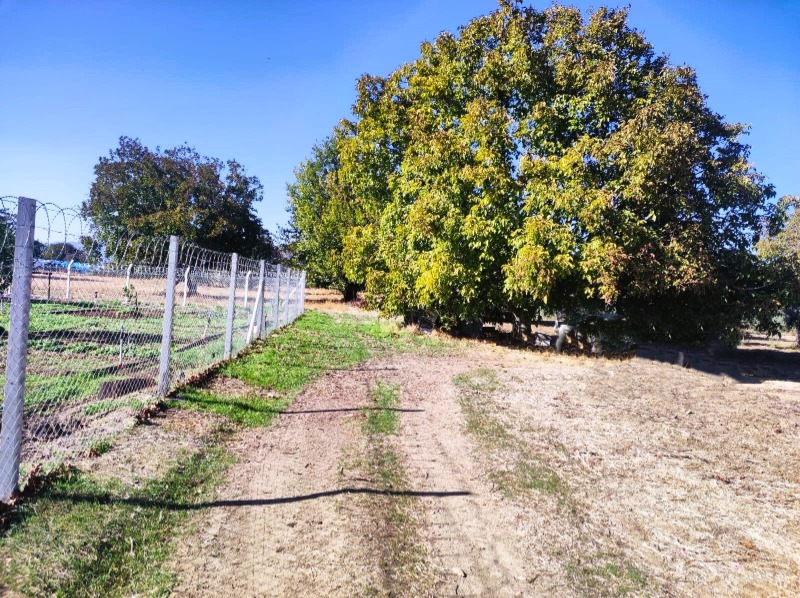 Havran Büyükdere Mah`daTarla. - 3